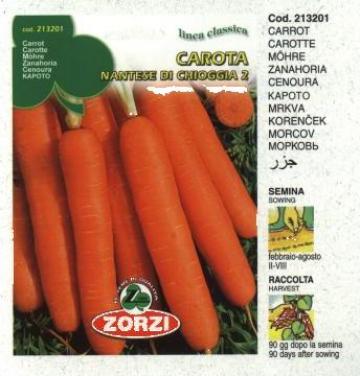 Seminte de morcov