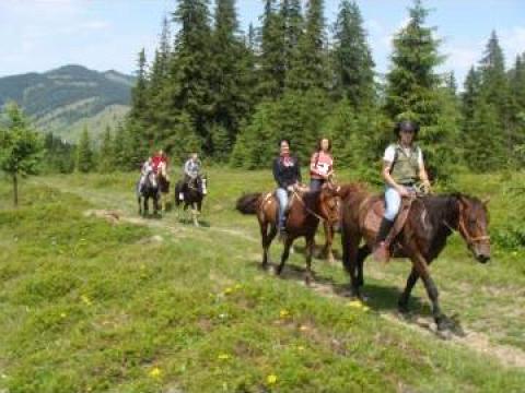 Excursii calare in Carpati de la Bucovina Adventure