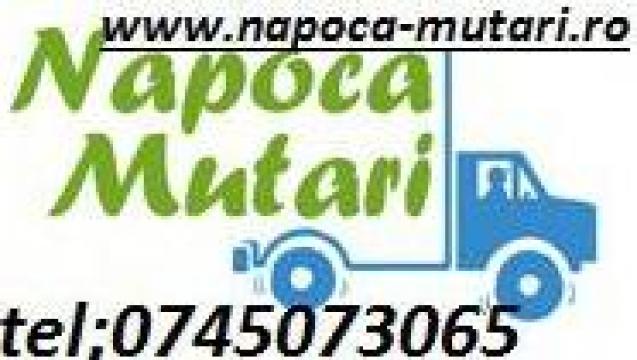 Servicii mutari mobila/transport marfa de la Mimoti Impex Srl