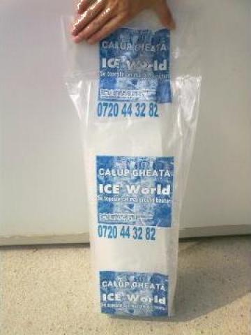 Calup gheata de la Sc Ice World Srl
