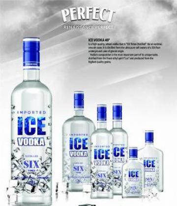 Vodka Ice de la Renaissance Perfect Moldova