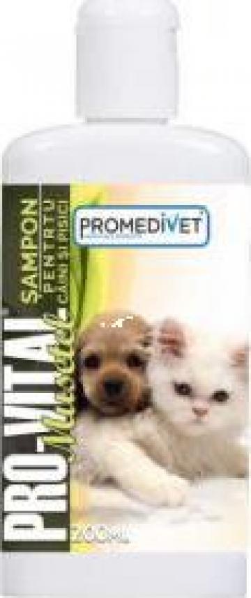 Sampon cu musetel pentru caini si pisici Pro-Vital de la Promedivet