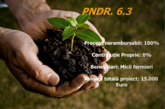 Consultanta PNDR 6.3