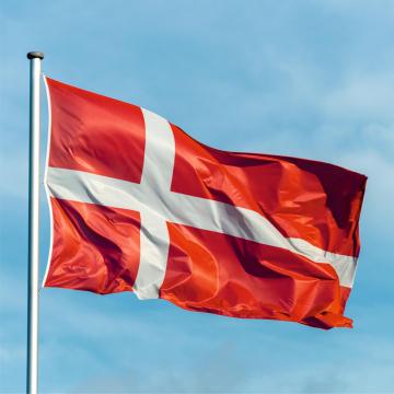 Steag Danemarca de la Color Tuning Srl