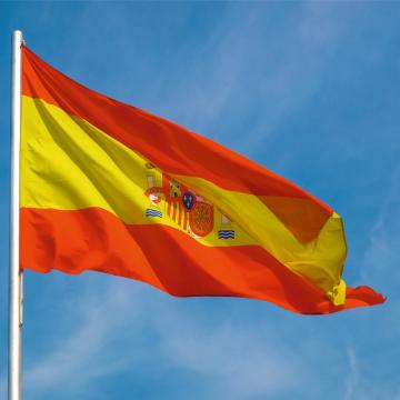 Steag Spania de la Color Tuning Srl