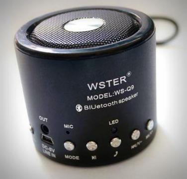 Radio Wster WS-Q9 de la Preturi Rezonabile
