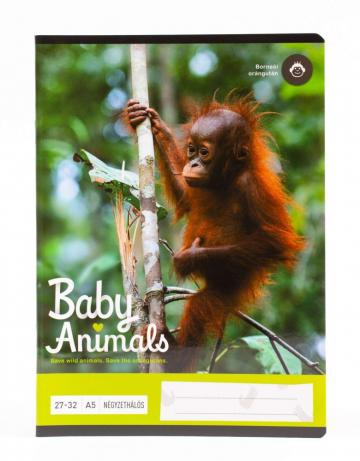 Caiet de matematica A/5 27-32 cu model Orangutan #verde