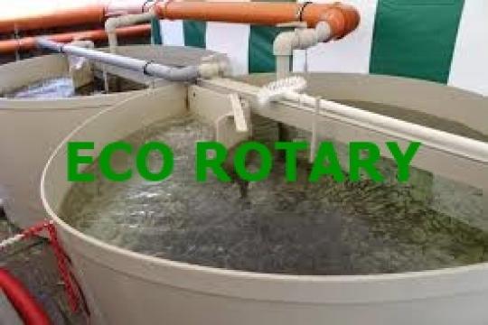 Cuve piscicole cu fund conic 4mc de la Eco Rotary Srl