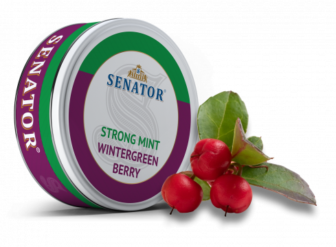 Pliculete cu nicotina Senator - Strong Wintergreen Berry de la Dvd Master Srl
