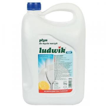 Detergent vase antibacterian cu parfum de lamaie Ludwik 5L de la Practic Online Packaging Srl