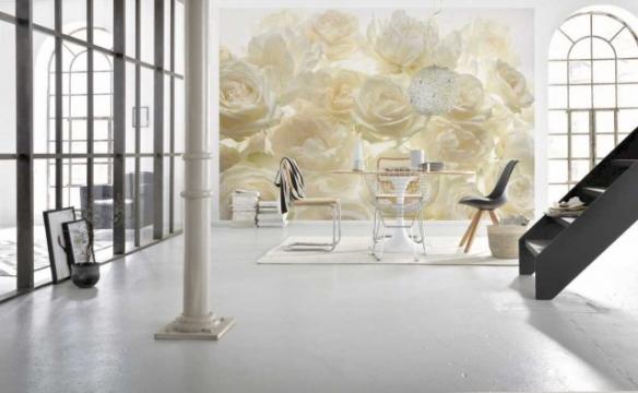 Fototapet vlies floral Trandafiri albi delicati 368x248 cm