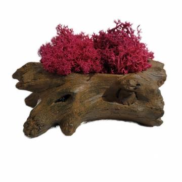 Aranjament licheni ghiveci decorativ rosu M9 de la Decor Creativ