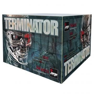 Baterie artificii Terminator 100F