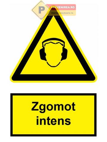 Indicator pentru zgomote intens de la Prevenirea Pentru Siguranta Ta G.i. Srl