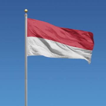 Steag Indonezia de la Color Tuning Srl