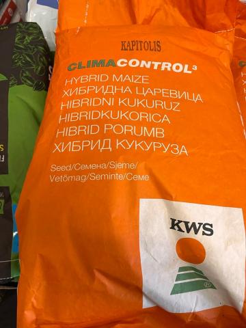 Porumb KWS Kapitolis de la Emcril Plant Srl