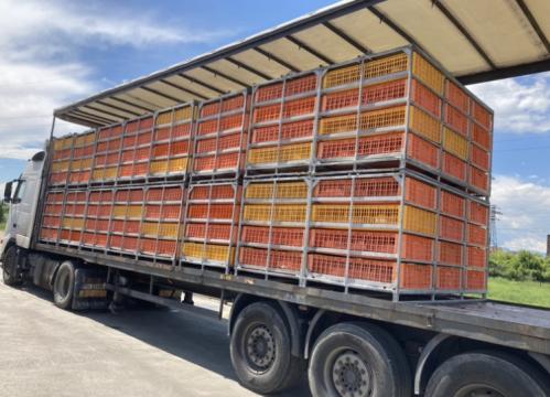 Container metalic transport pasari Egea de la Egea Invest S.r.l