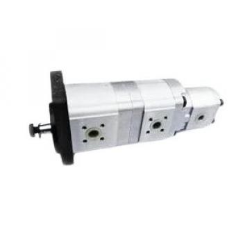 Pompa hidraulica Bosch Rexroth 0517666308 de la SC MHP-Store SRL
