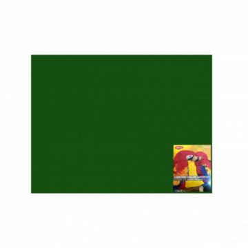 Carton color cn240vi verde i. 46x64 10coli daco 240g/mp