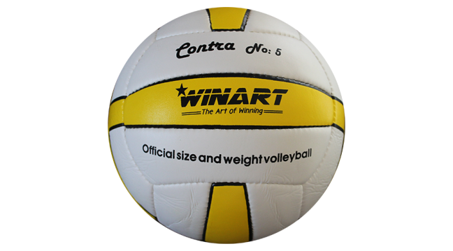 Minge volei Winart Contra Yellow