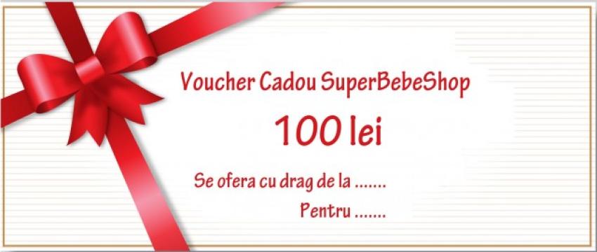 Voucher cadou 100 lei de la Alda Clean Service Srl
