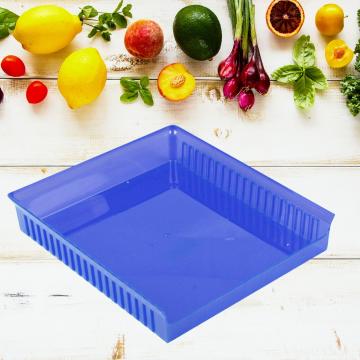 Cutie depozitare alimente in frigider - albastru