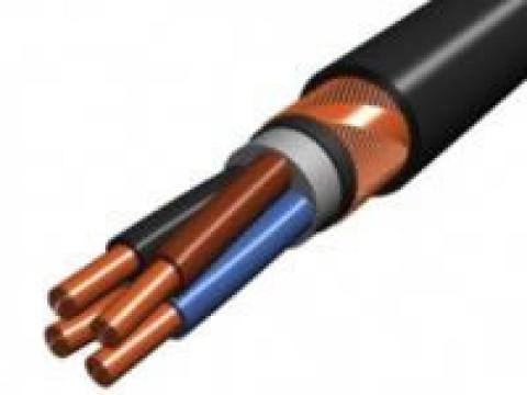 Cabluri de energie 0,6/1 kV - E-YCY
