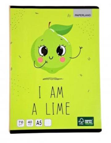 Caiet A5 Matematica, 40 File, 70g/mp, Lime