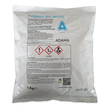 Fungicid Folpan 80 WDG, 1 kg, Contact, Adama