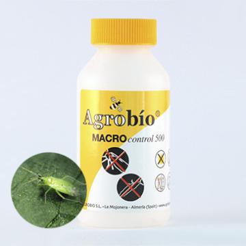 Pradator musculita alba, Macrocontrol, 500 indivizi, Agrobio de la Dasola Online Srl