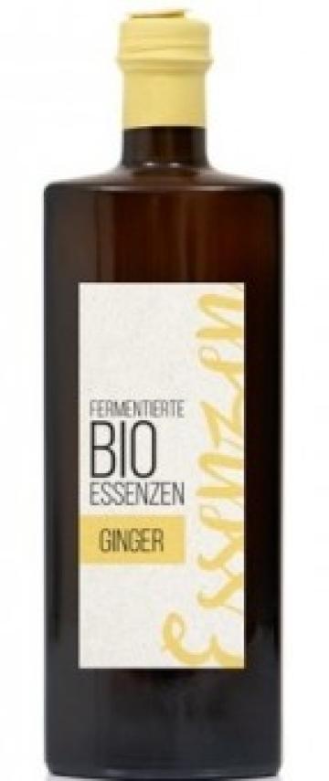 Esenta de ghimbir, fermentata, bio, 500ml, Retter de la Supermarket Pentru Tine Srl