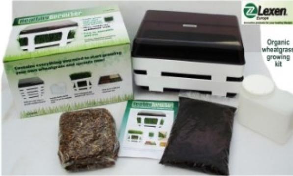 Kit complet pentru iarba de grau Obio de la Supermarket Pentru Tine Srl