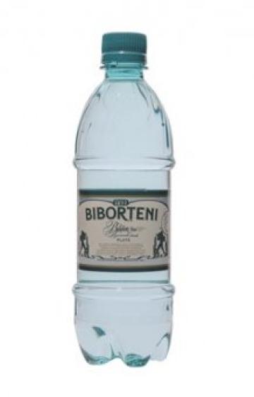 Apa plata Biborteni 0.5L SGR