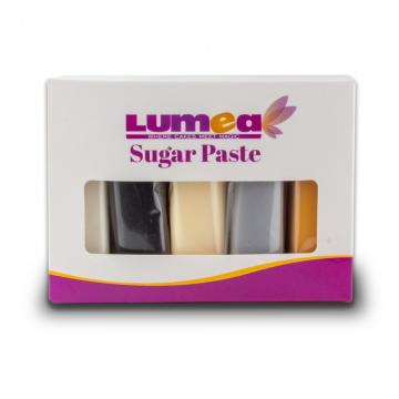 Set fondant Basic mix, 100g x 5 buc