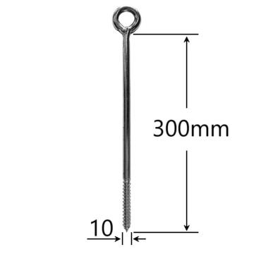 Holsurub cu inel 10x300mm