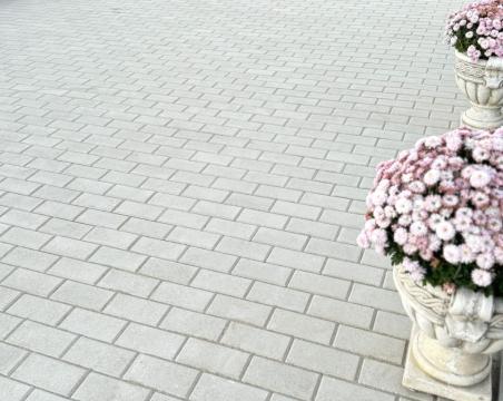 Pavaj Wise Tetra Combi 60 mm alb de la Depozit Virtual