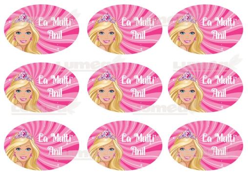 Vafa tort placute La multi ani Barbie 1 de la Lumea Basmelor International Srl