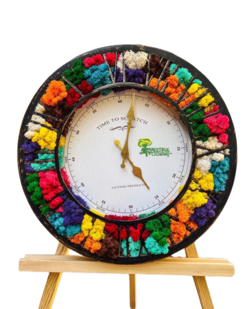 Ceas vintage Multicolor 1 decorat cu licheni de la Academart World Design Srl