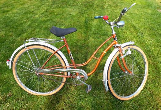 Bicicleta adulti de la 