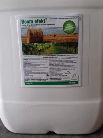 Erbicid total Boom Efekt 20L Glifosat 480gr/litru de la Acvilanis Grup Srl