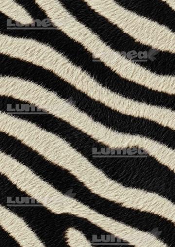 Vafa tort A3 Zebra - Lumea de la Lumea Basmelor International Srl