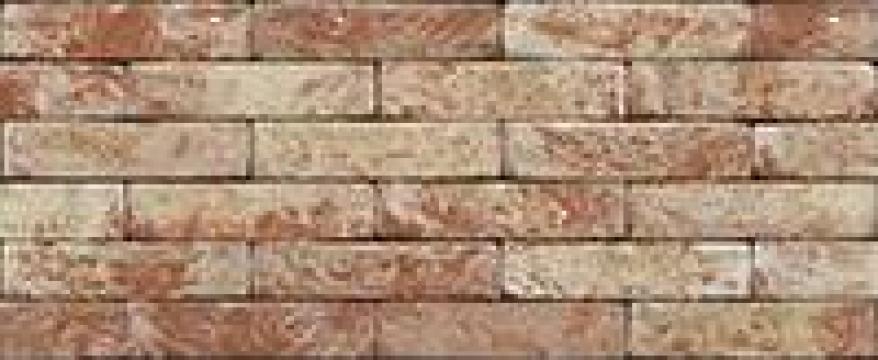 Caramida aparenta Klampsteen Kesselt de la Venex Srl