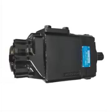 Pompa hidraulica T6DCY B31 B12 1R00 B100 de la SC MHP-Store SRL