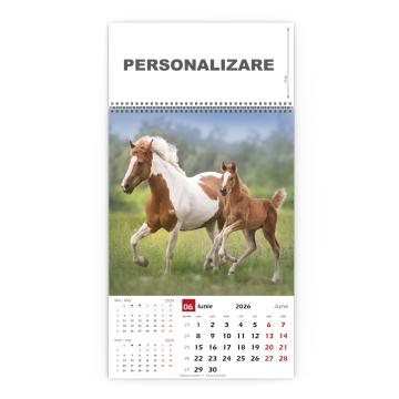 Calendar de perete cu imagini 2026 - cai