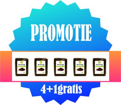 Mustar brun 300g 4+1