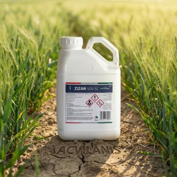 Fungicid contra Fainare grau, Rugina bruna Zizan 500SC 5L