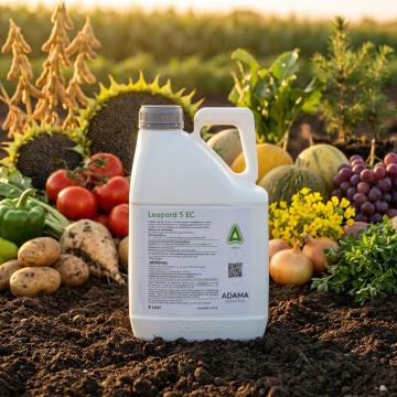 Erbicid contra monocotiledonate in legumicultura Leopard 5L
