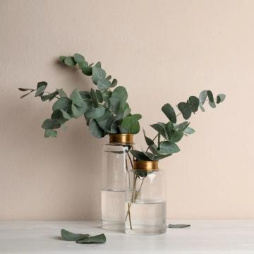 Parfum lumanari Eucalyptus