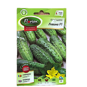 Seminte castraveti cornison Levina F1 2 gr, Florian Bulgaria