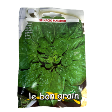 Seminte spanac Matador 30 gr, Le Bon Grain